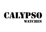 CALYPSO Silver Group